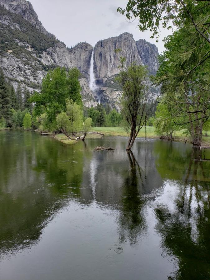 Yosemite Foothill Retreat - Private Guest Suite #3 科斯戈尔德 外观 照片