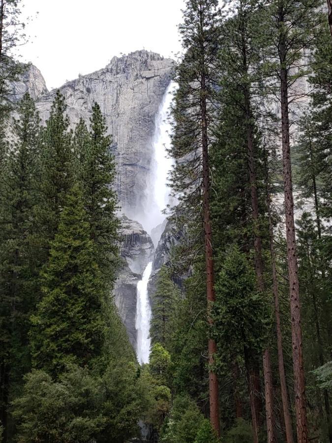 Yosemite Foothill Retreat - Private Guest Suite #3 科斯戈尔德 外观 照片