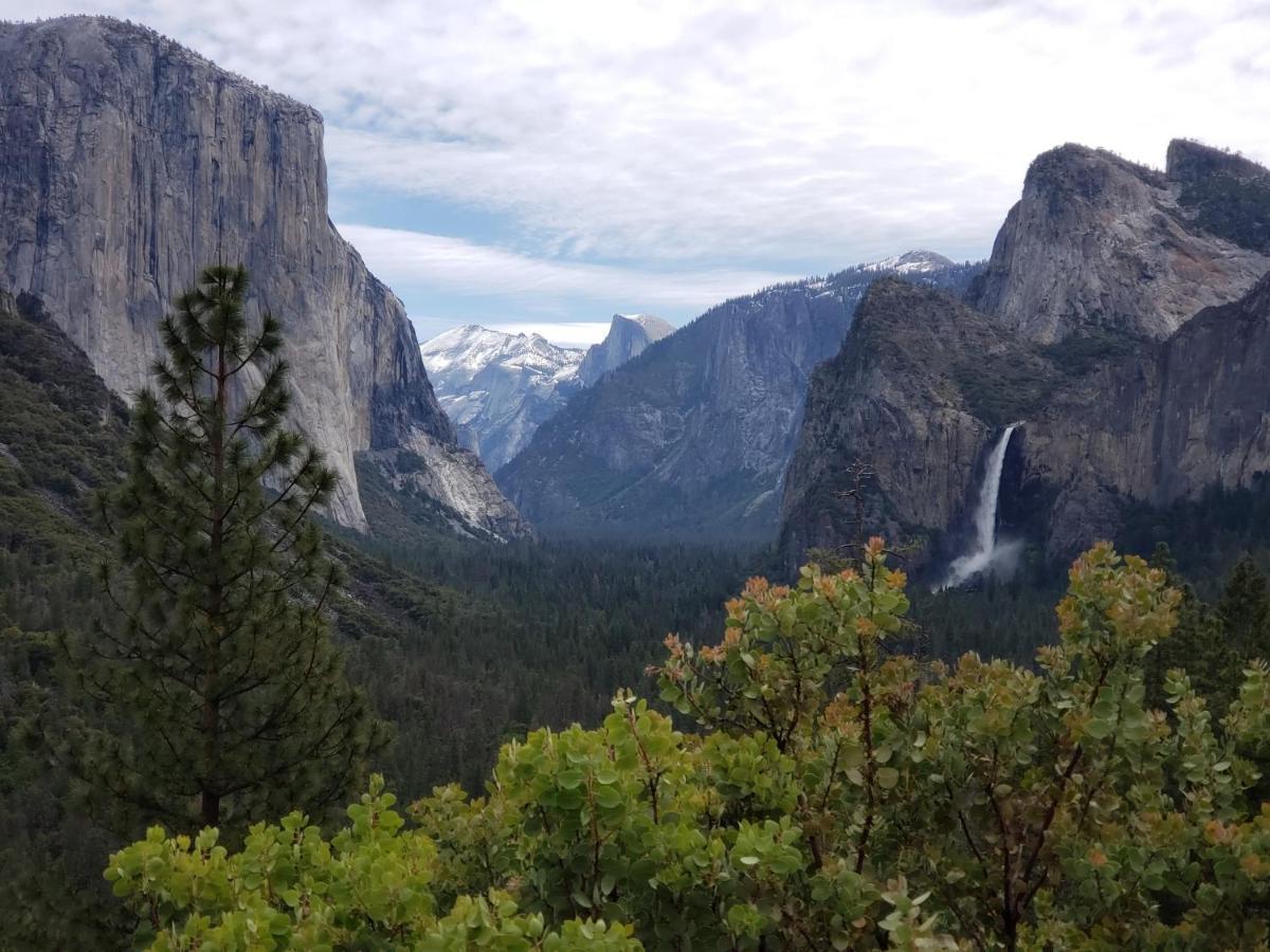 Yosemite Foothill Retreat - Private Guest Suite #3 科斯戈尔德 外观 照片