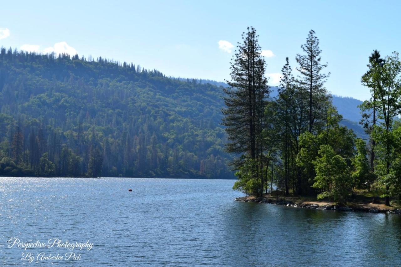 Yosemite Foothill Retreat - Private Guest Suite #3 科斯戈尔德 外观 照片