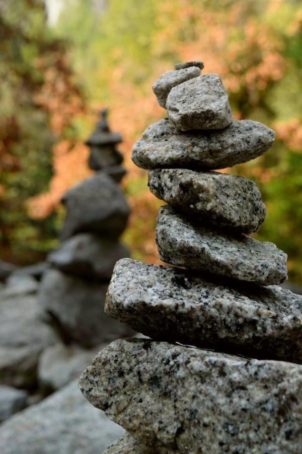 Yosemite Foothill Retreat - Private Guest Suite #3 科斯戈尔德 外观 照片